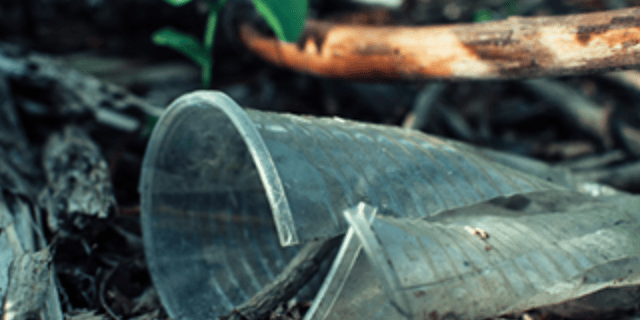 Bioplastics: Revolution or False Hope?