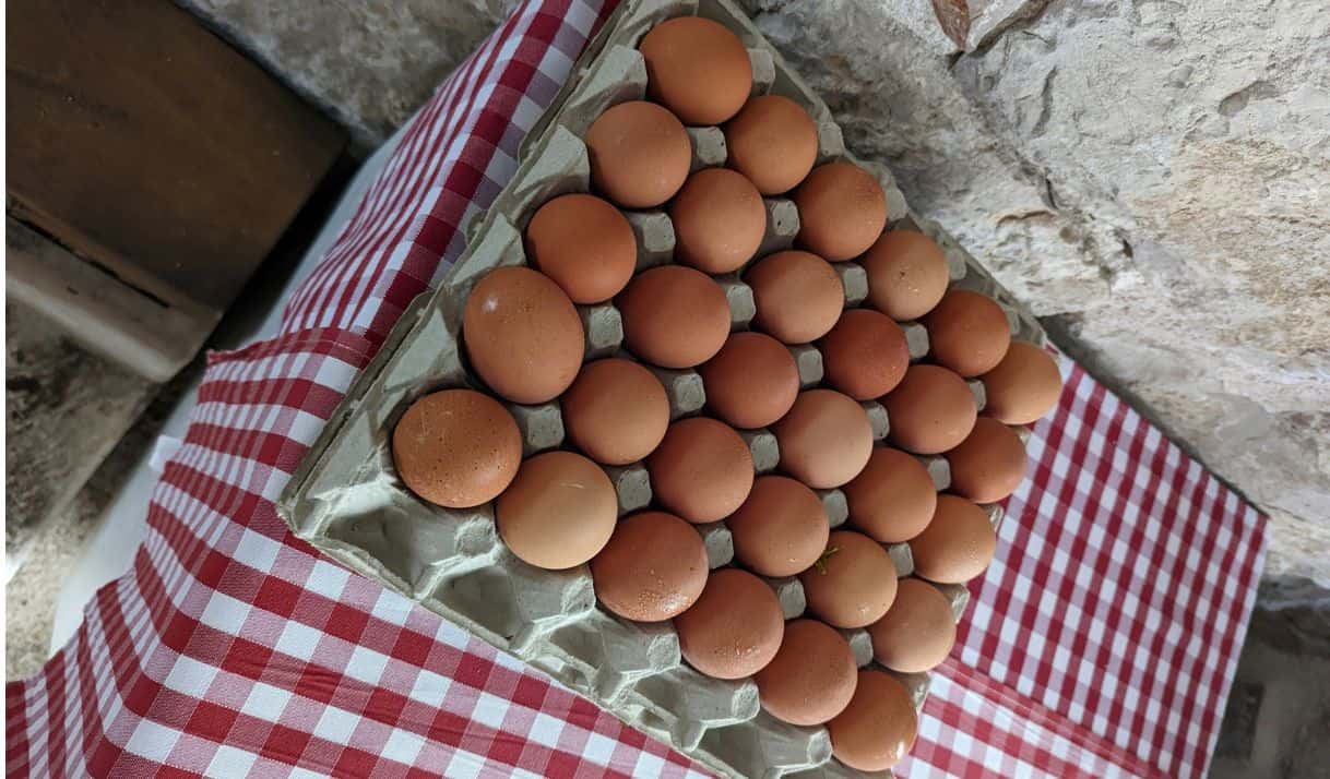 ¿En qué provincia se consiguen los huevos más baratos de Cuba?